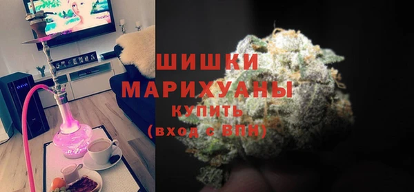 Альфа ПВП Няндома