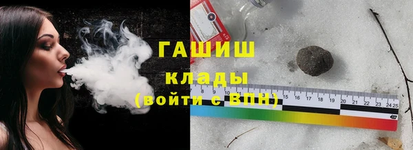 сатива Новодвинск