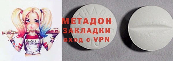 прущие грибы Нягань