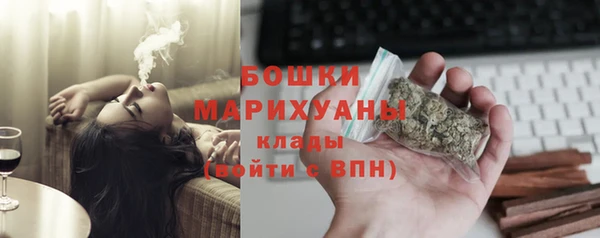 прущие грибы Нягань
