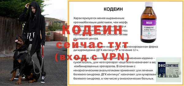 прущие грибы Нягань