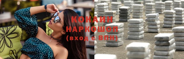 Альфа ПВП Няндома