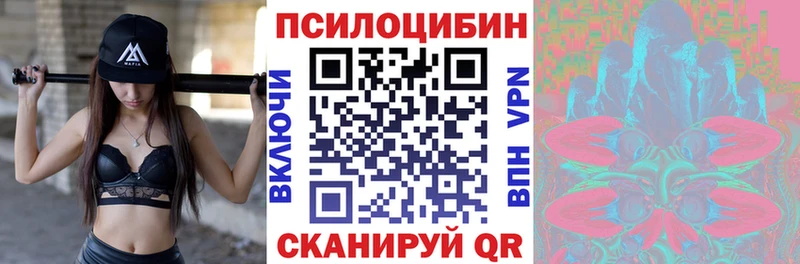 купить закладку  ссылка на мегу tor  Псилоцибиновые грибы мицелий  Сертолово 