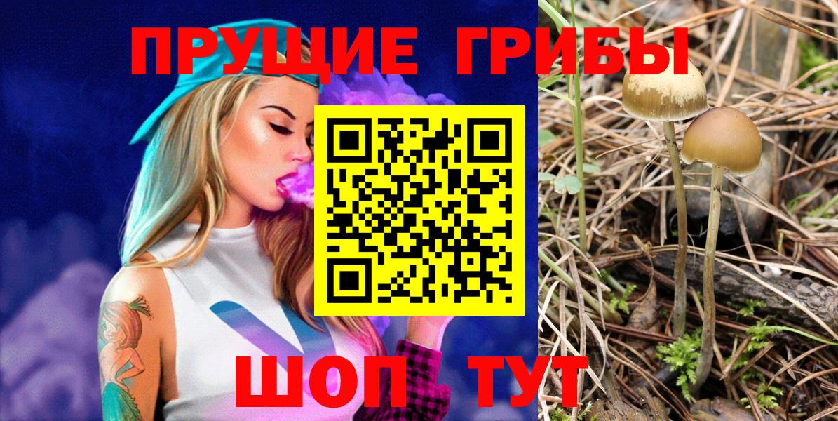 Галлюциногенные грибы ЛСД Сертолово