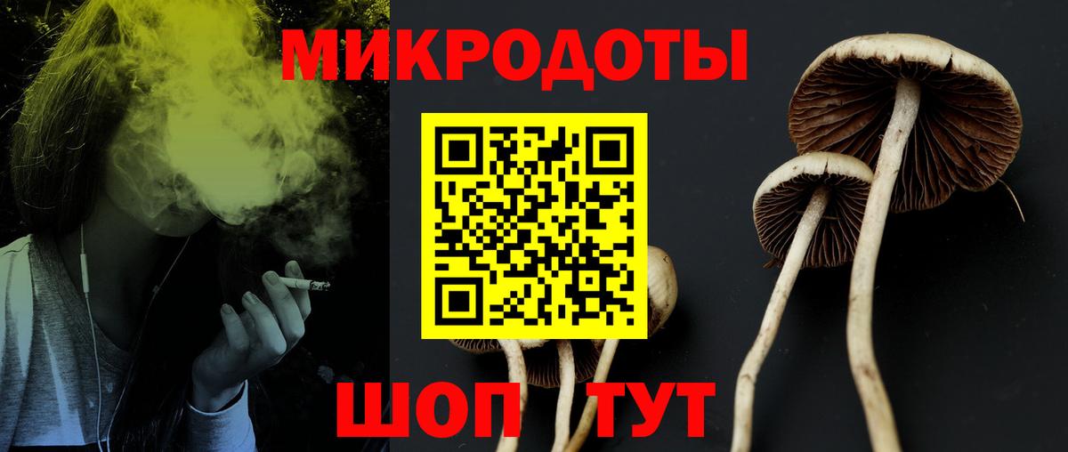 Галлюциногенные грибы MAGIC MUSHROOMS  Сертолово 