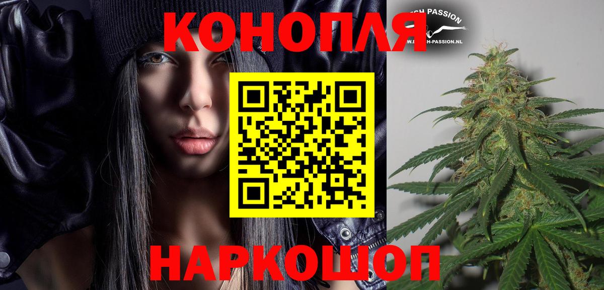 Конопля MAZAR  Бошки Шишки тримм  Шишки марихуана тримм  Сертолово 